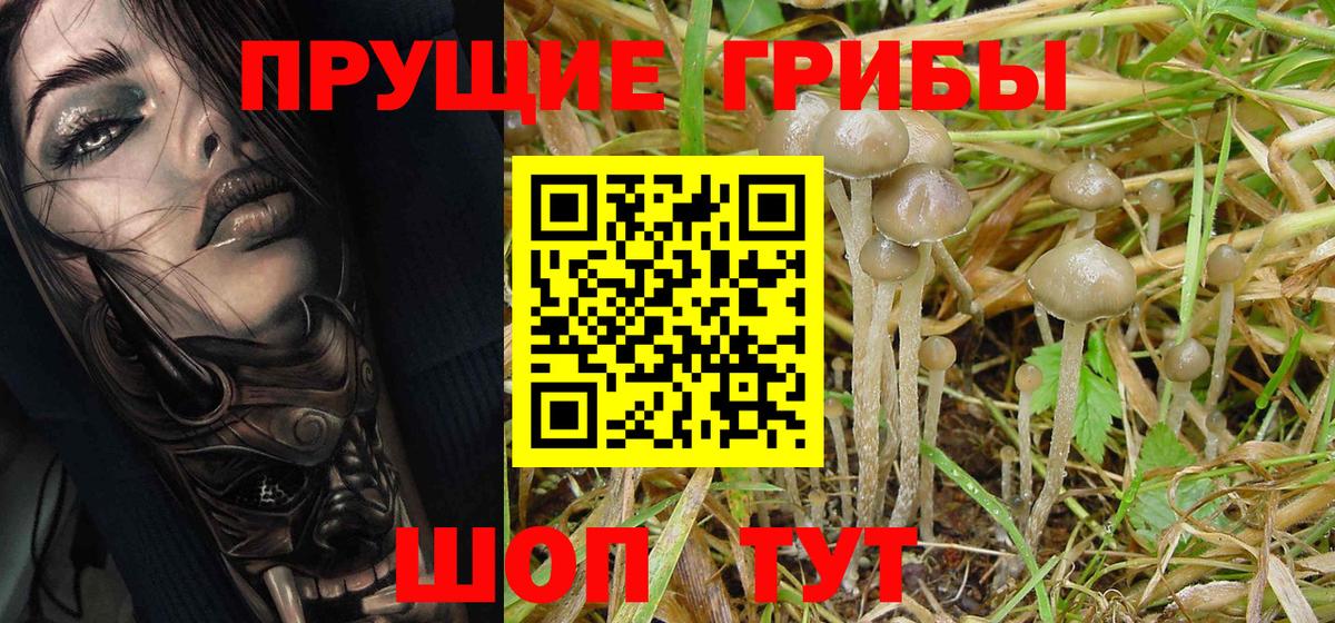 Галлюциногенные грибы Psilocybe  что такое наркотик  Усолье-Сибирское  Вход с VPN 